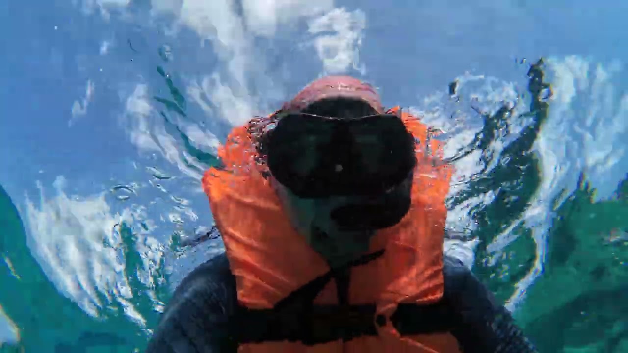 🟢 Excursión Tiburones p11 - 16/1/26 - Maldivas - Champagiri Shark Point