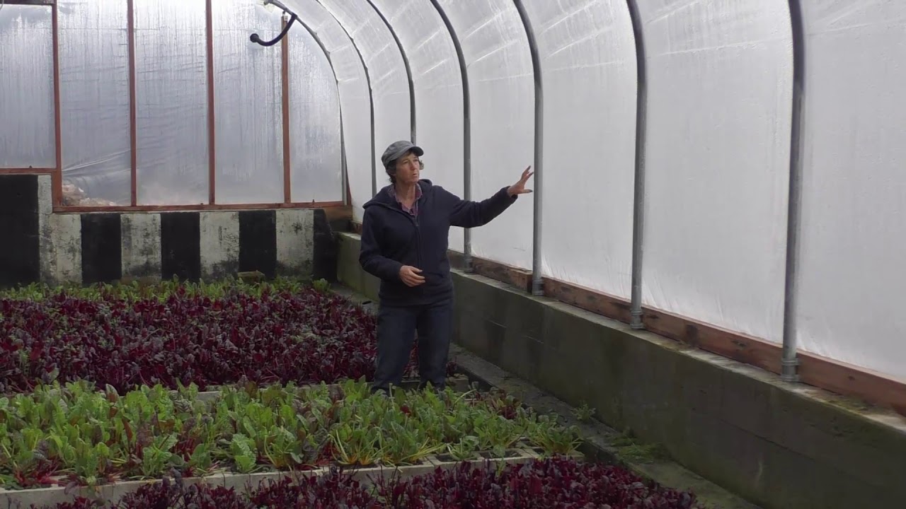 Tour of The Little Greenhouse