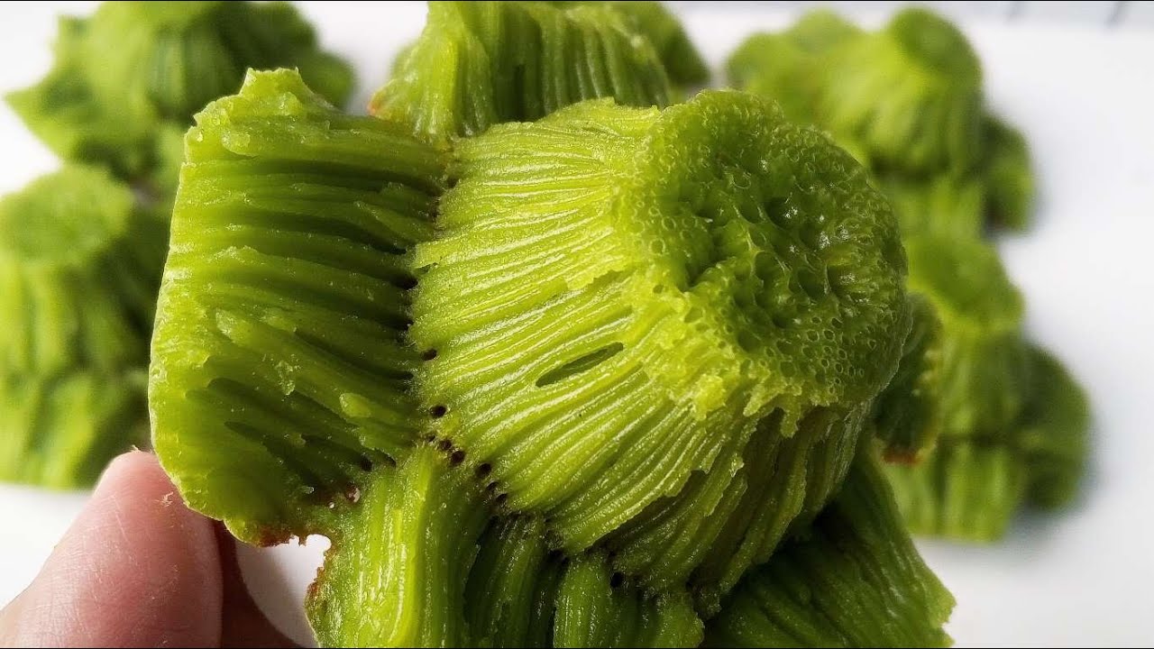 PAKAI AMPAS KELAPA HASILNYA BERSERAT CANTIK ‼️BIKANG MAWAR PANDAN SEKALI COBA PASTI BERHASIL ‼️