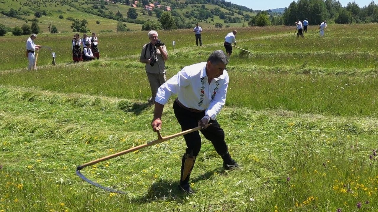 KOSIDBA NA SOKOCU 2019 !!!