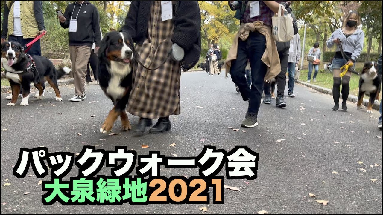 みんなで歩こう♪パックウォーク会2021