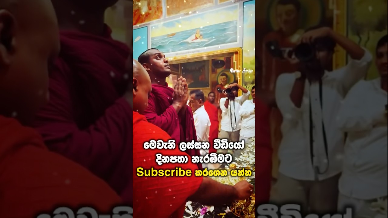 kathnoruve siridhamma thero 🫀💐  #shorts #viralvideo