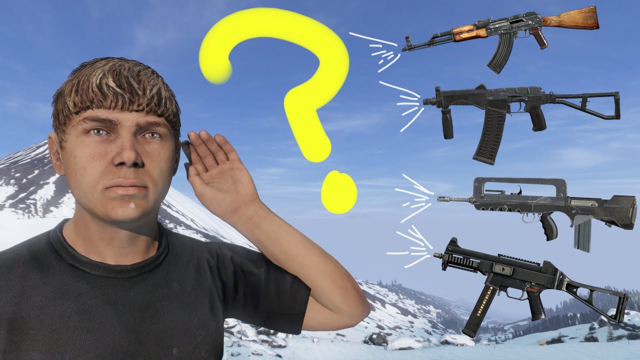 How well do You Know DAYZ Gun Sounds?