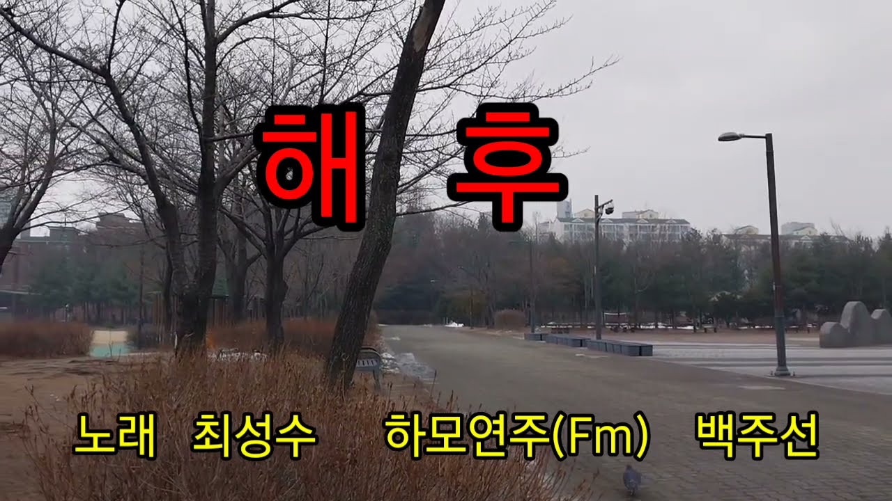 해후 하모니카 연주