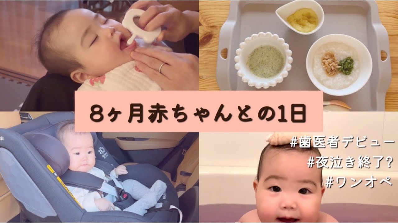 【生後8ヶ月】赤ちゃんとの1日｜ワンオペ｜歯医者デビュー｜夜泣き改善｜
