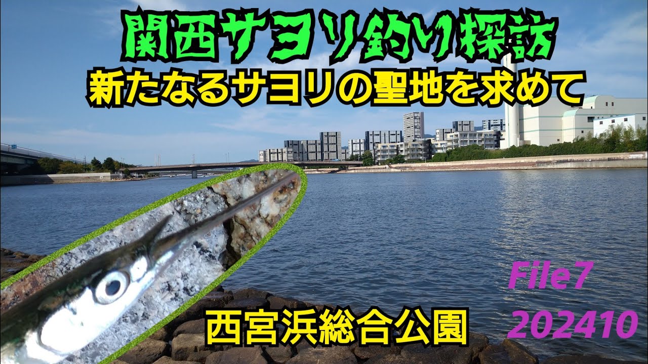 関西サヨリ釣り探訪 File７西宮浜総合公園 新たなるサヨリの聖地を求めて202410