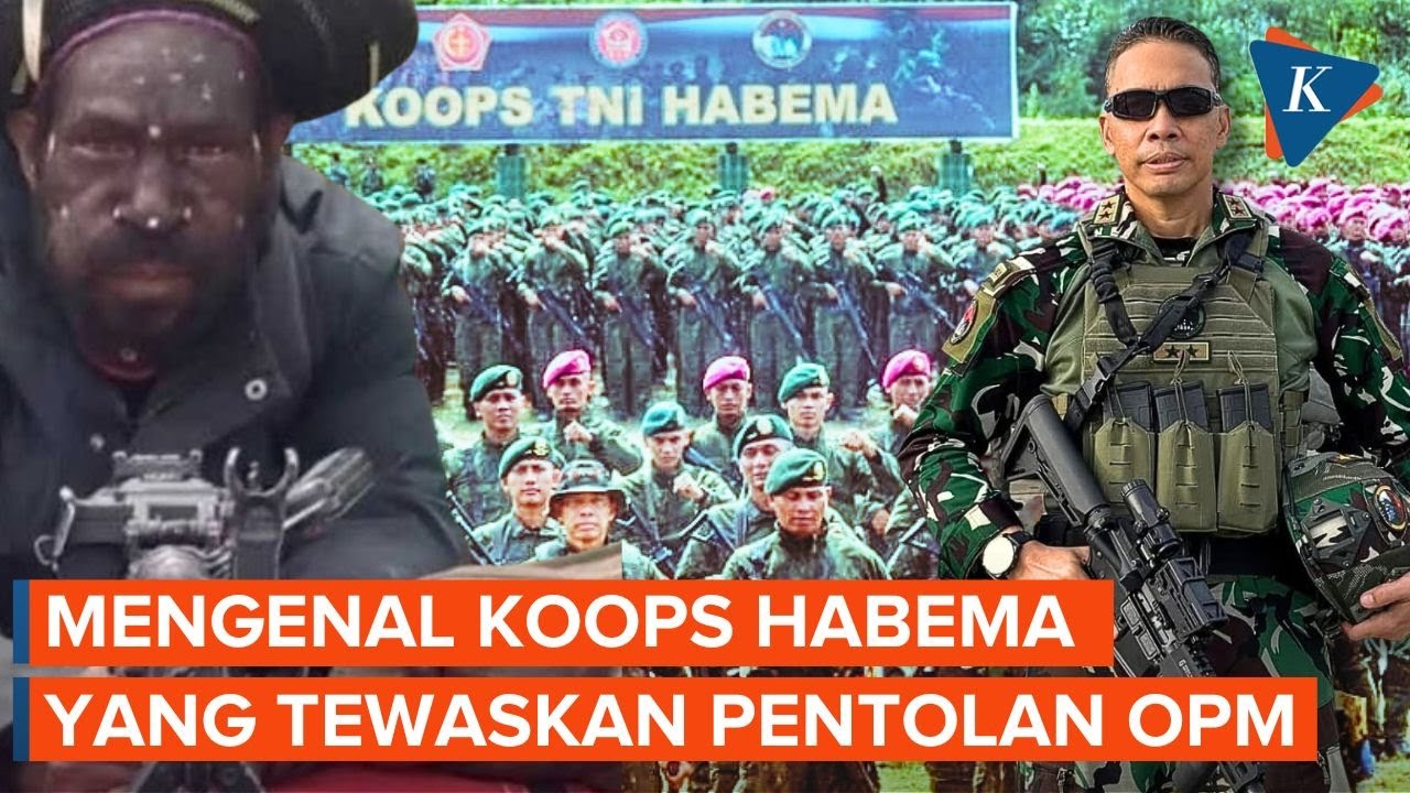 Mengenal Koops Habema, Satuan Militer yang Berhasil Lumpuhkan Wakil Panglima OPM