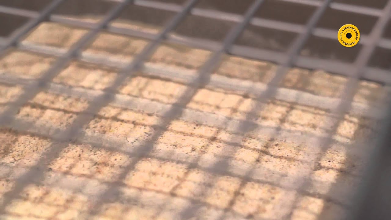 VarkensTV - EuroTier2014 - Nutrisuin
