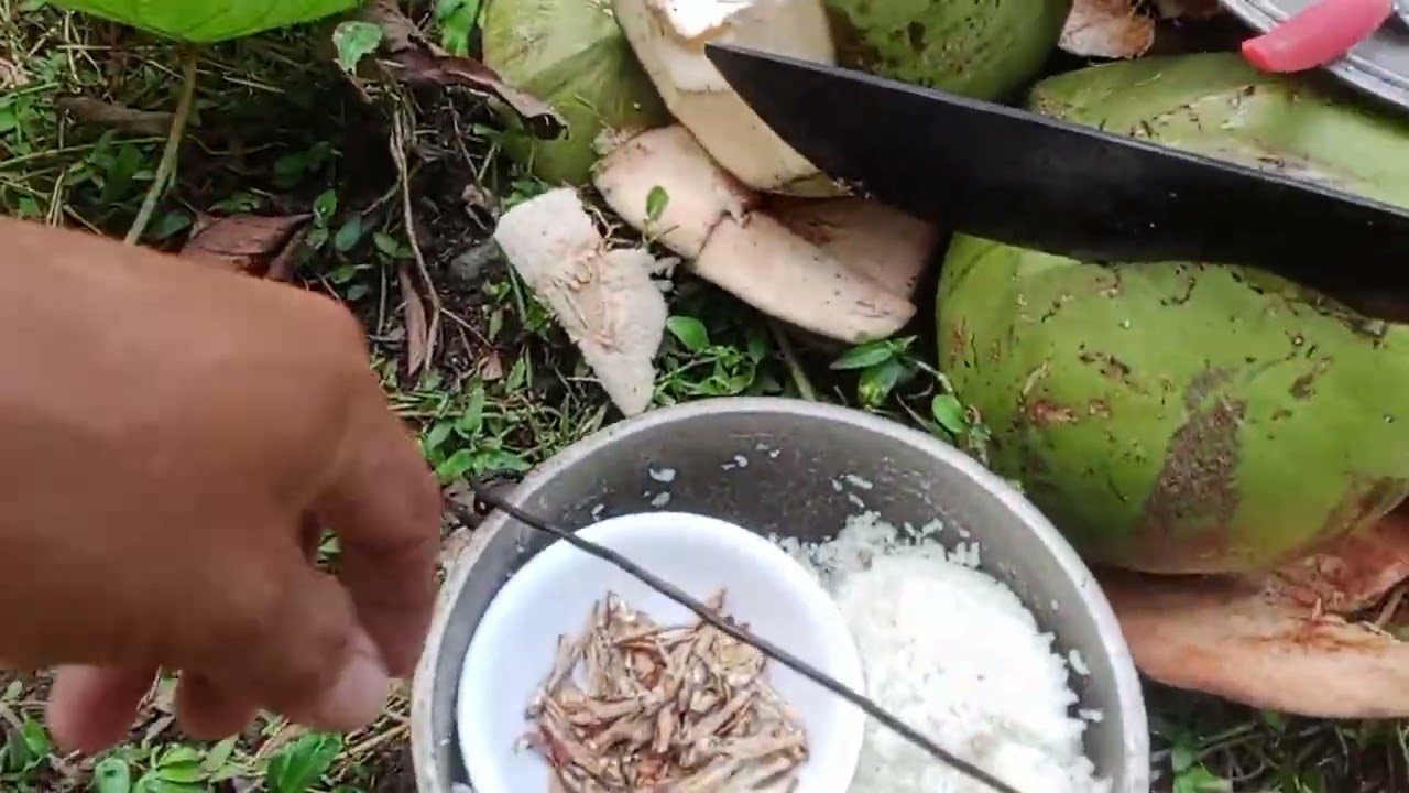 Nag paakyat ng Buko,para gawing buko 🥗 salad mga kabukid# Taga Bukid Moto Vlog