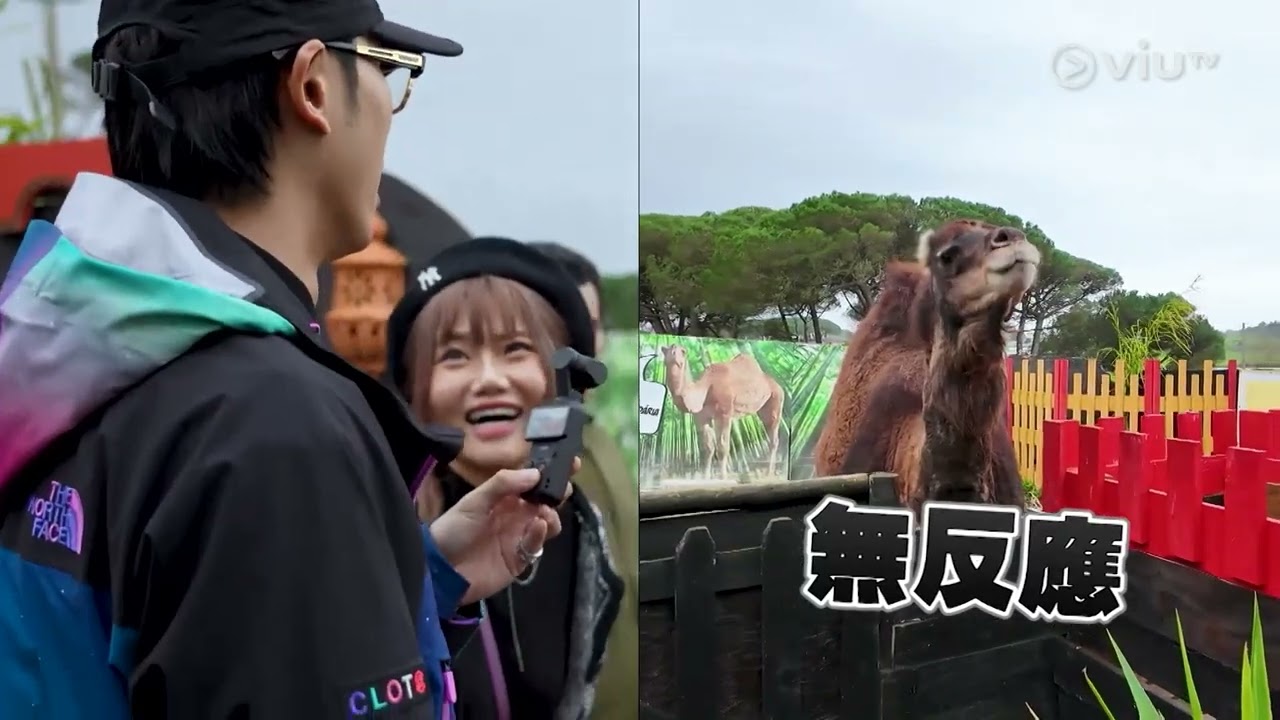 《巴絲Let’s go歐》 EP 1 - 首次兄妹遊，193同3妹葡國之旅出發