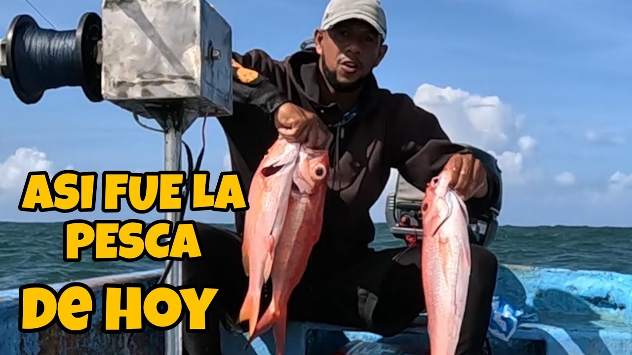 ASI FUE LA PESCA DE HOY CON LA MÁQUINA CASERA ELÉCTRICA