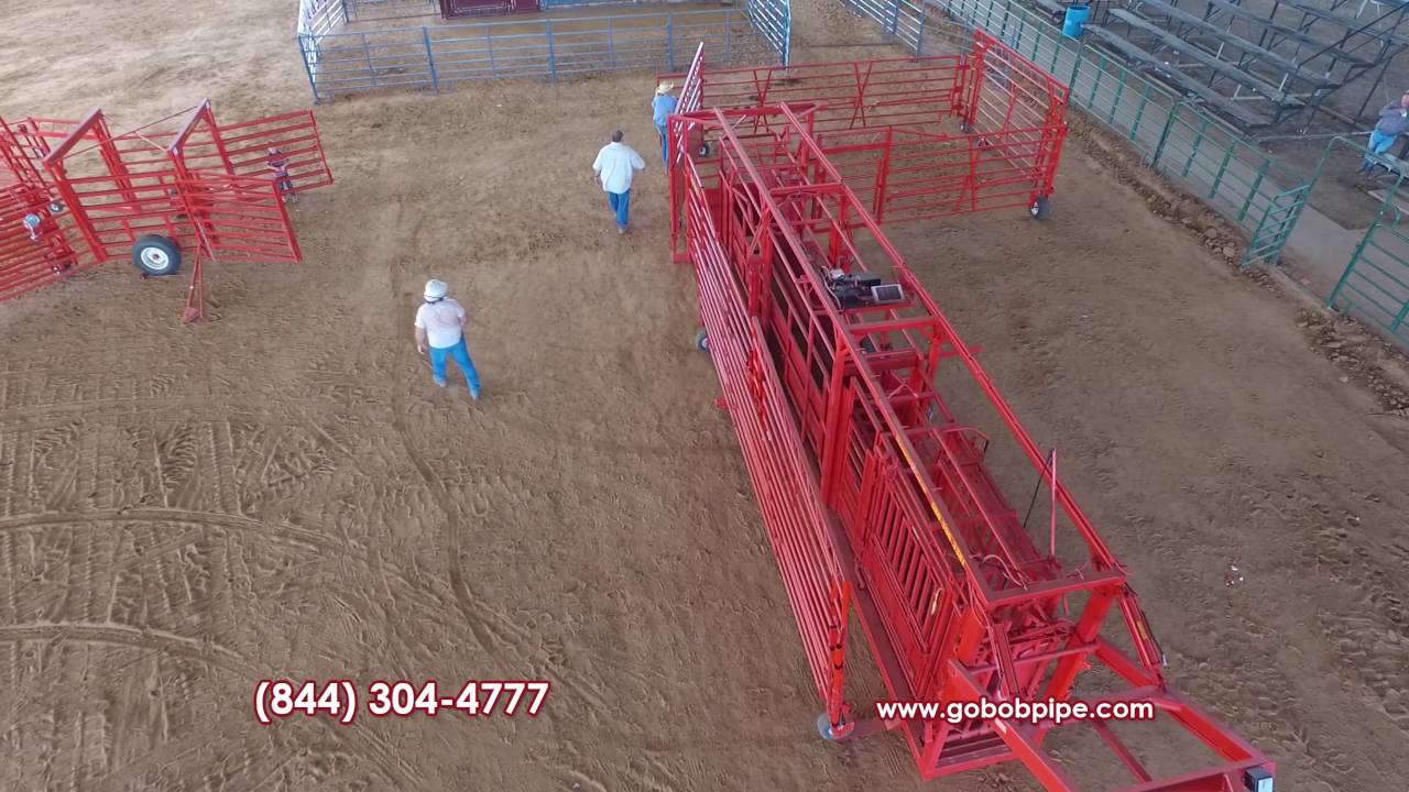 Portable Cattle Flow Box Easy Set-up from GoBob Pipe and Steel