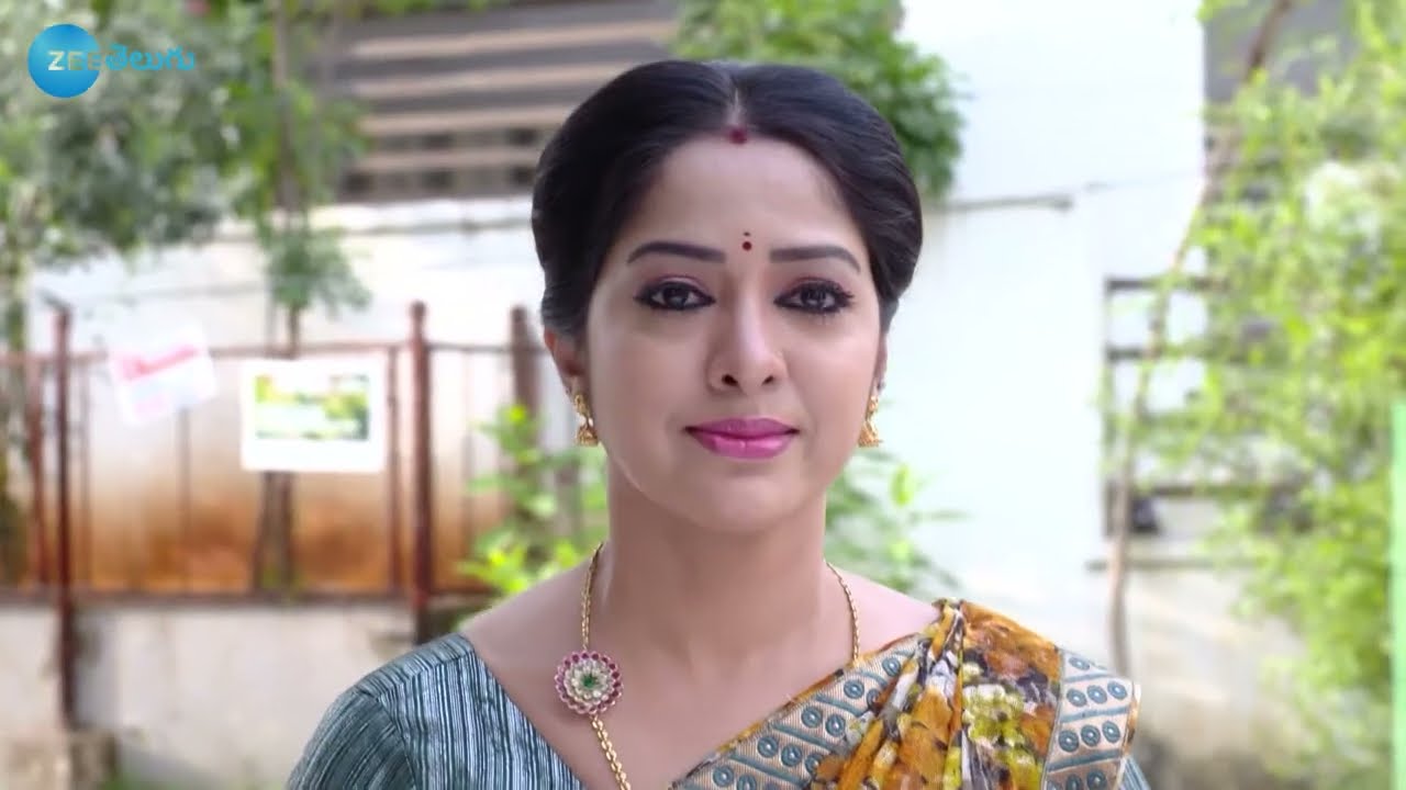 EP 312Рама Саккани Сита - Индийское телешоу телугу - Же Телугу