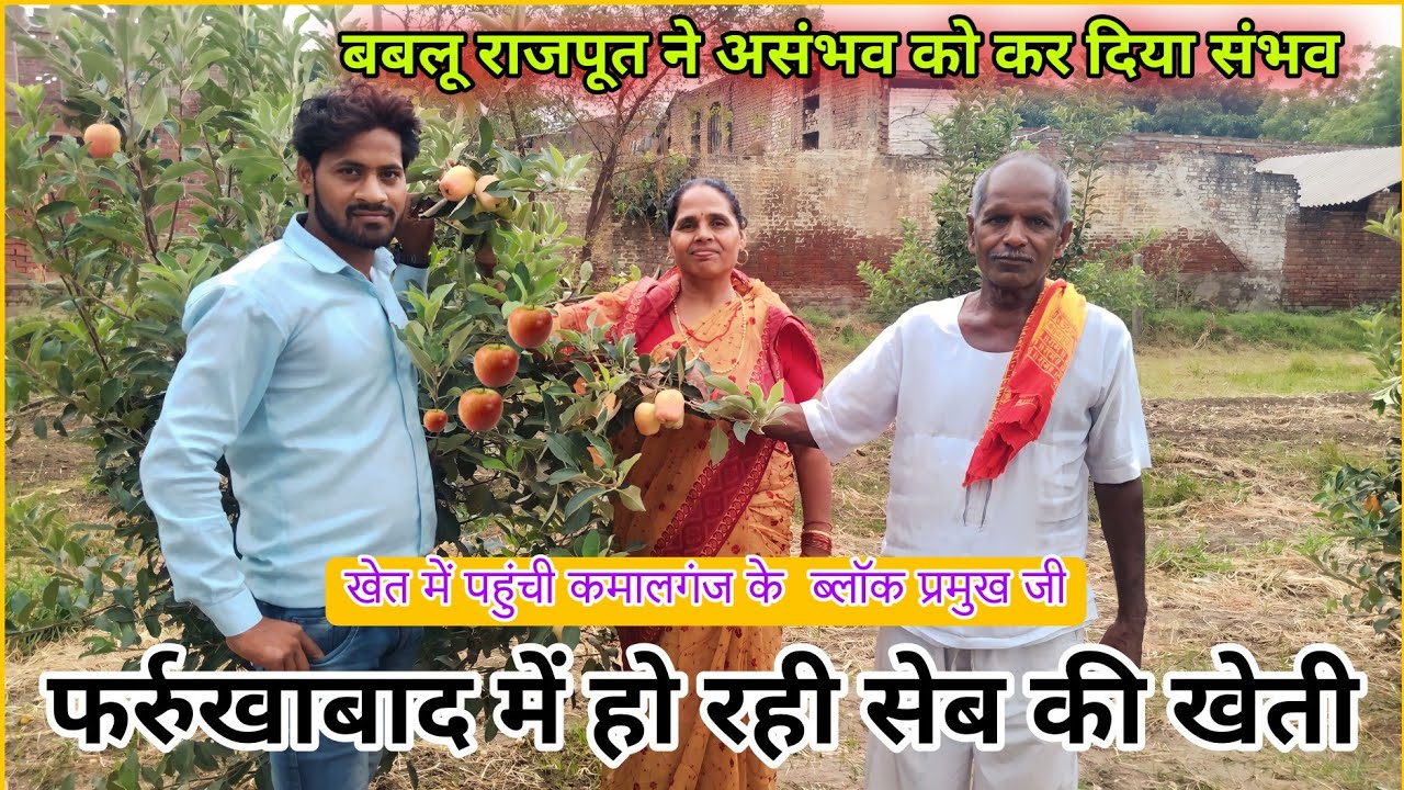 फर्रुखाबाद में हो रही सेव की खेती ! अब खेत से निकलने लगे सेब ! UP Farrukhabd me Sev ki kheti 🍎 apple