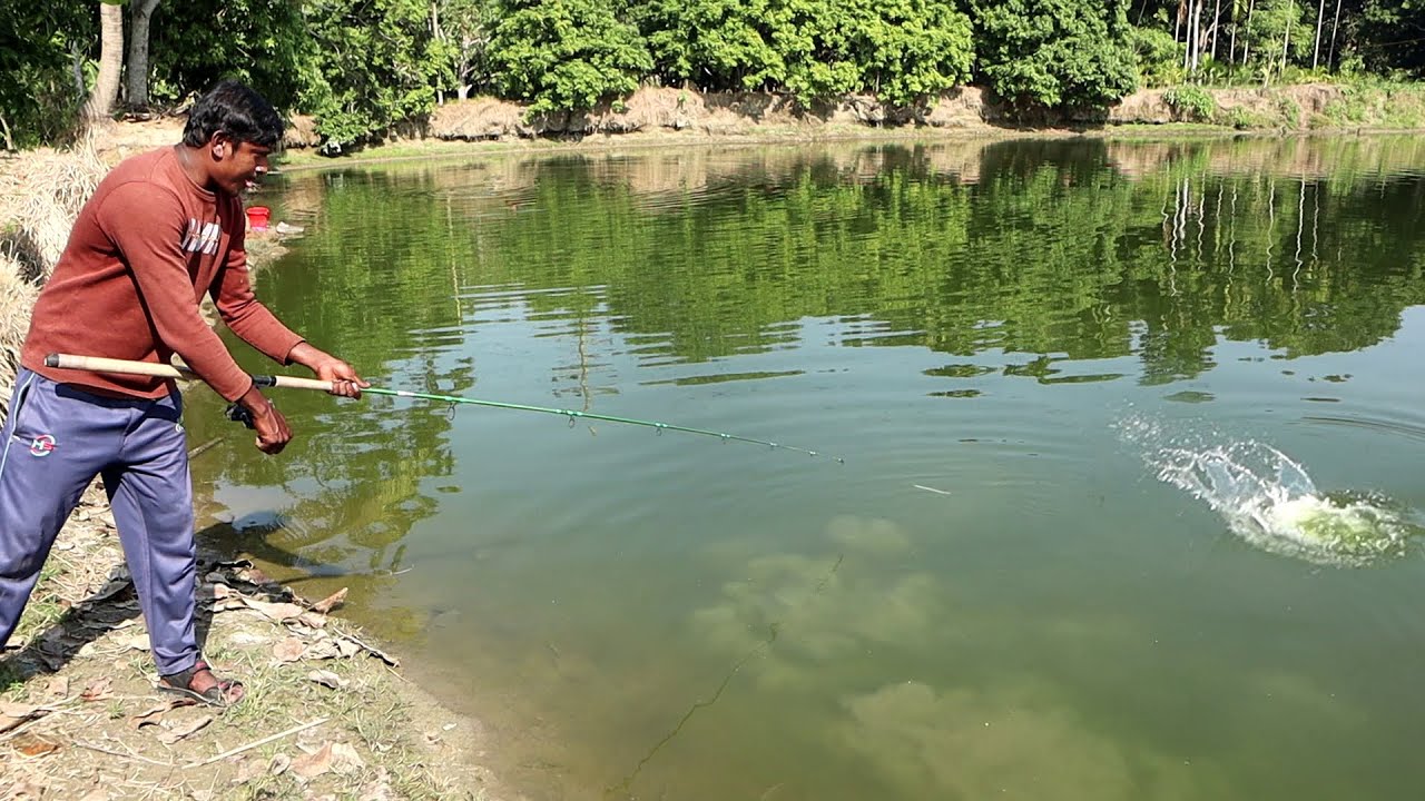 প্রচন্ড শীতে বড় বড় রুই মাছ ধরার সেরা চার ও টোপ | Babu Vai | Winter Fishing