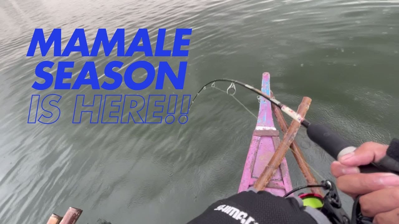 Manila Bay Fishing Vlog Episode 3: MAMALE SEASON IS HERE!
