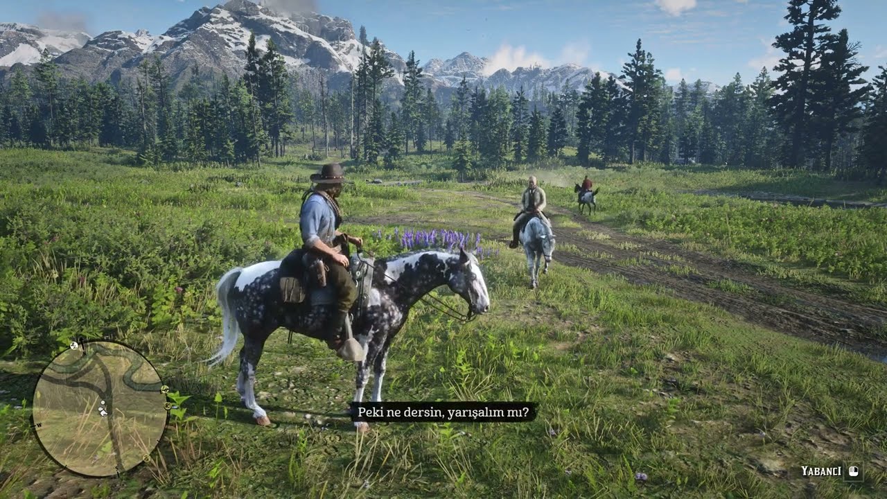 Red Dead Redemption 2 - Stranger horse race Nokota vs Missiori Dapple Fox Trotter