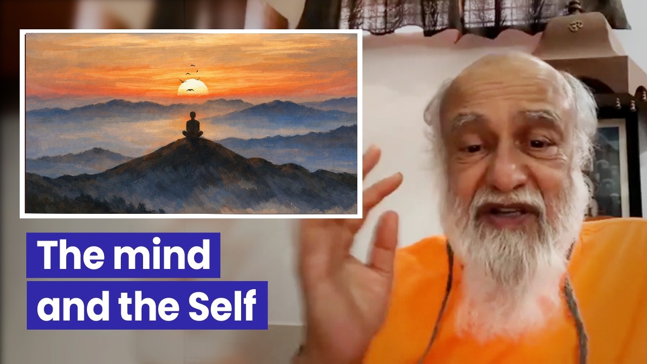 The mind and the Self | In Quest of Truth - Babaji Q&A, No. 259