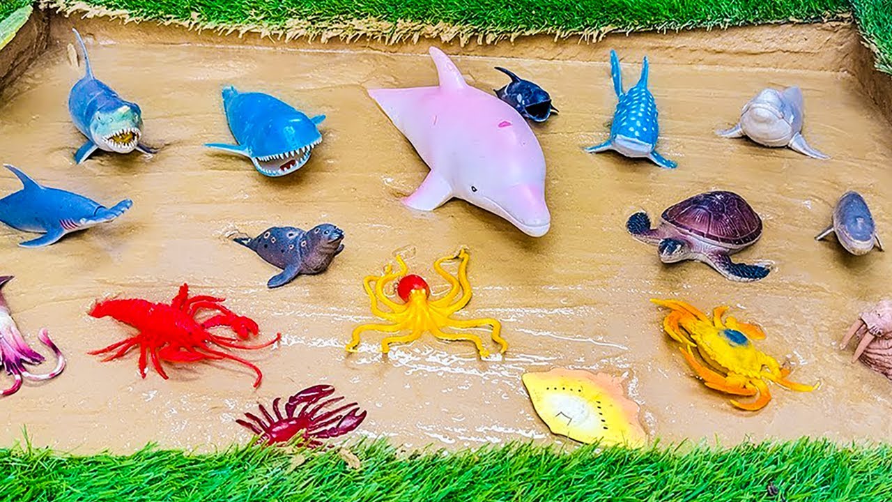 Muddy Adventure for Kids: Rescuing Ocean Animals from the Mud