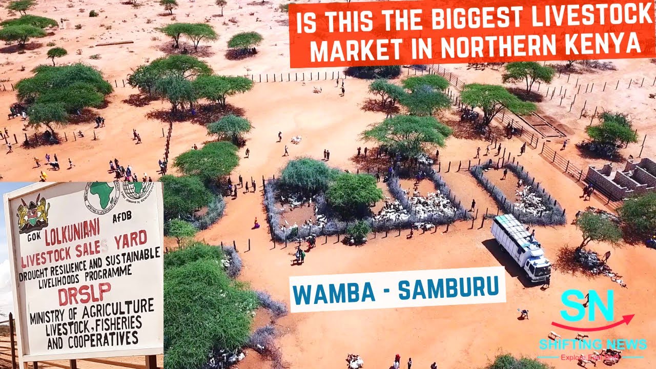 Biggest Livestock Market | Lolkuniani Market