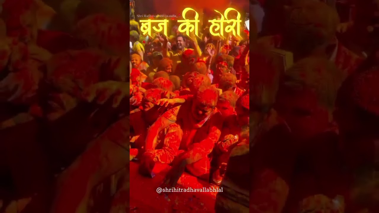 बांकेबिहारी होरी 🎈🌸✨️ ब्रज की होरी🥰💖 होली स्पेशल!! 