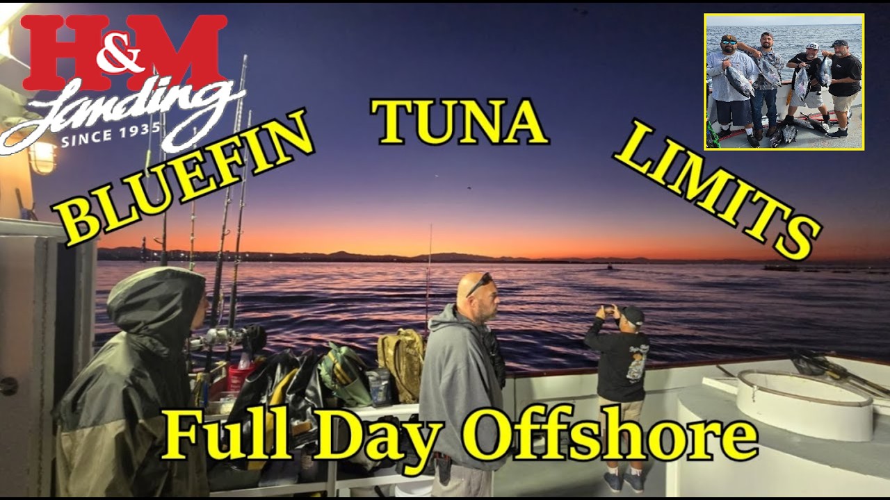 Ограничения на вылов голубого тунца на Большом спортивном рыболовстве 19 октября 2025 г.