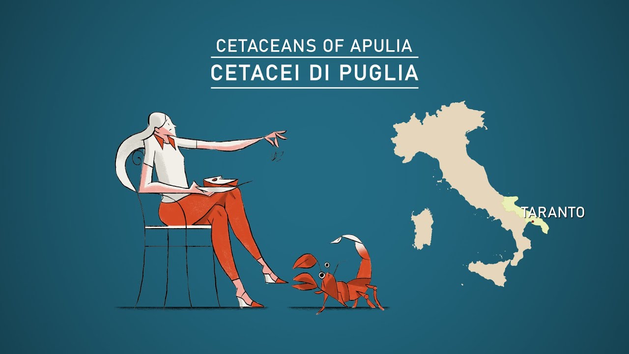 9 - Cetacei di Puglia