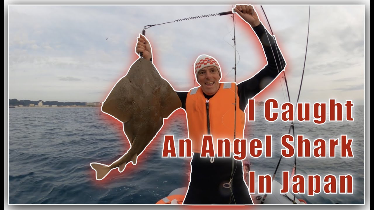 Catching an Angel Shark (Katsuzame) In Katsuura, Japan on the TrueKit  Inflatable, with Railblaza