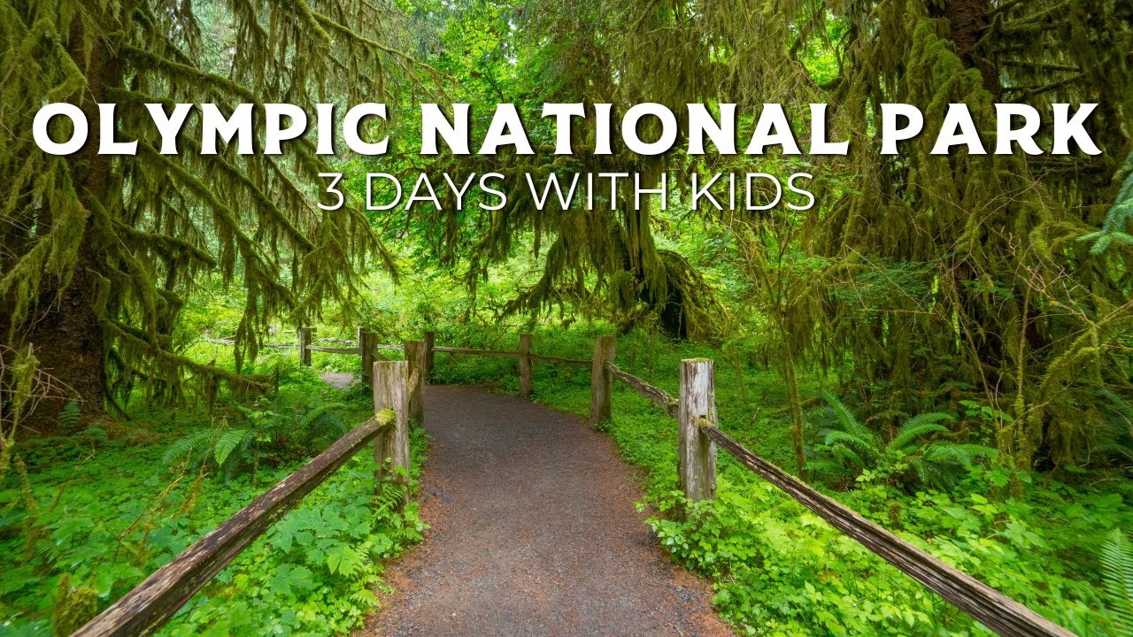 3 Days Itinerary Olympic National Park | Family Travel Itineraries