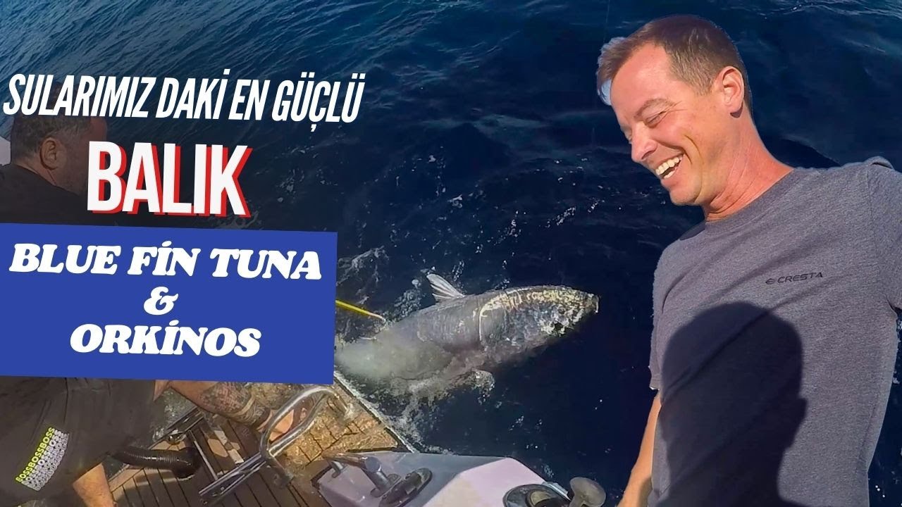 İZMİR'DE DEV ORKİNOS AVI I ÇOK YORULDUK AMA DEV GİBİ ORKİNOS YAKALADIK I BALIK AVI