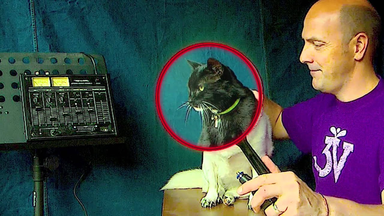 The Magic Scanner.mp4