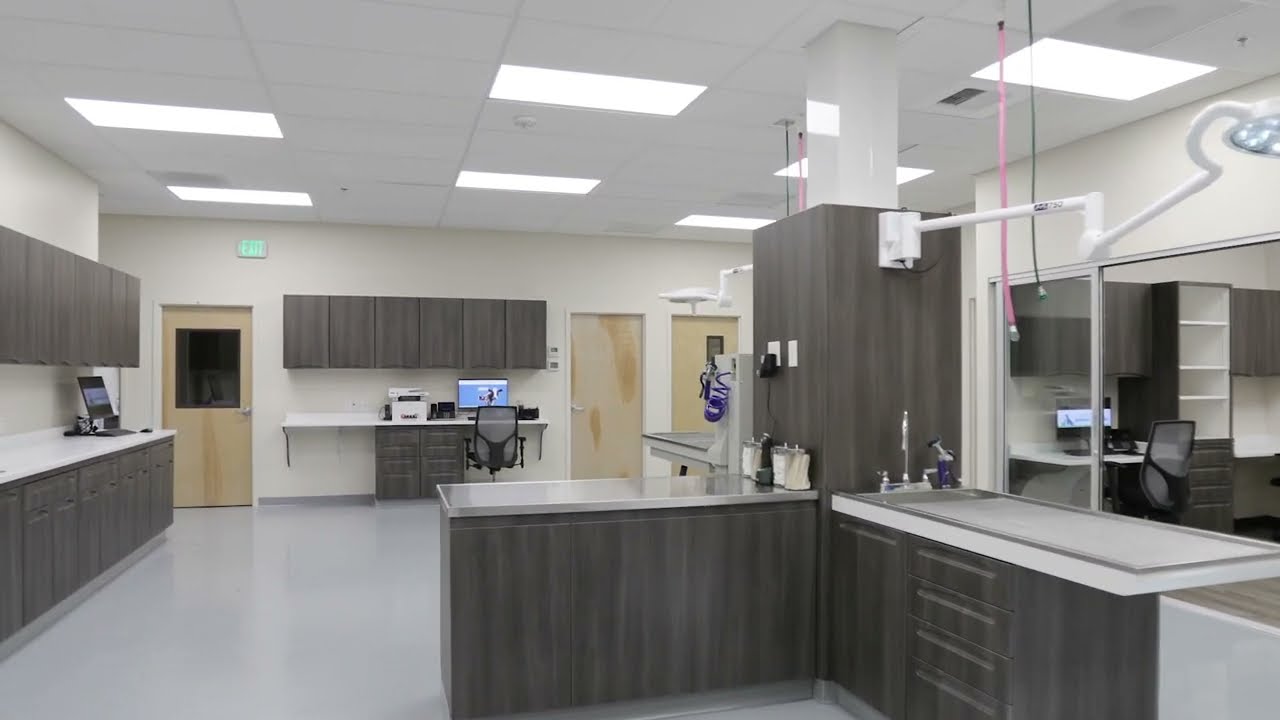 Orting Animal Hospital: Commercial Tenant Improvement Project: Orting: Veterinary