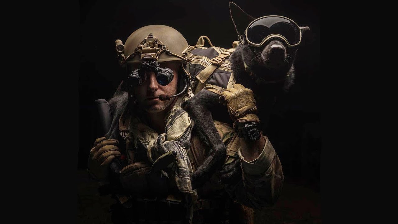 K9 - 