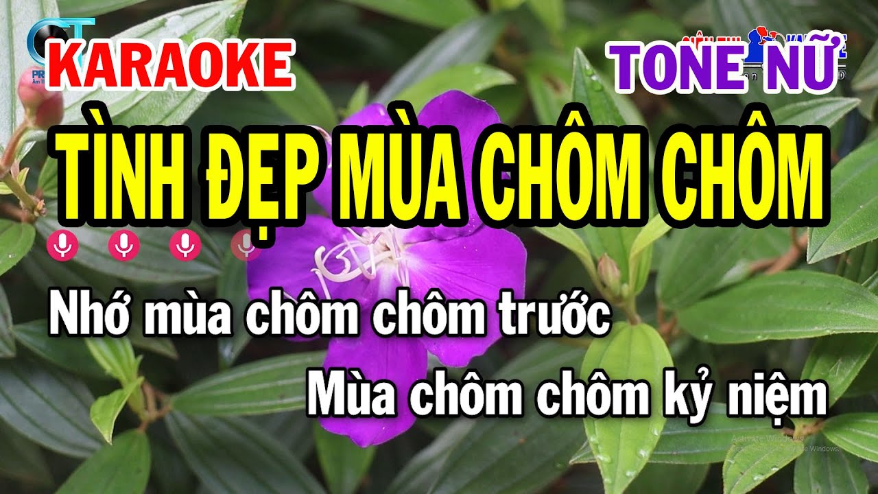 Karaoke Tình Đẹp Mùa Chôm Chôm Tone Nữ ( F#m ) Nhạc Sống Mới || Siêu Thị Karaoke