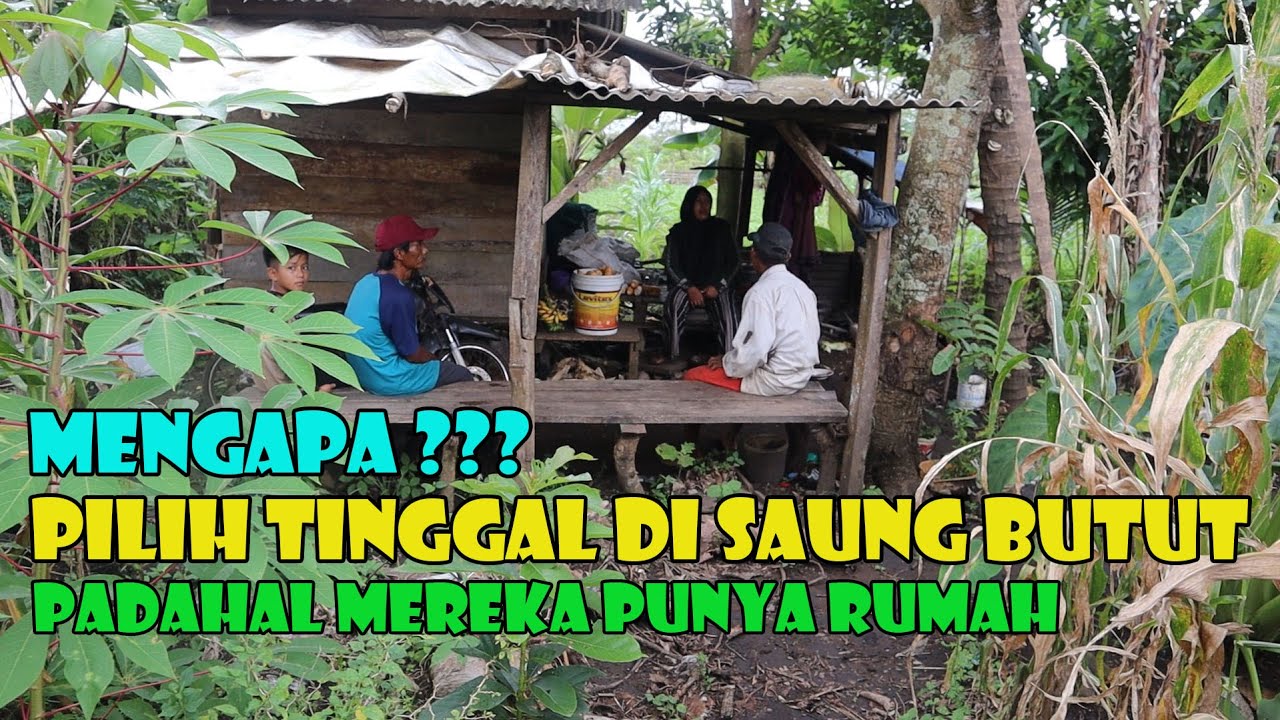 Ada Apa Dengan Mereka..?  Mereka Rela Tinggalkan Rumah. Demi Tinggal Di Saung Butut.