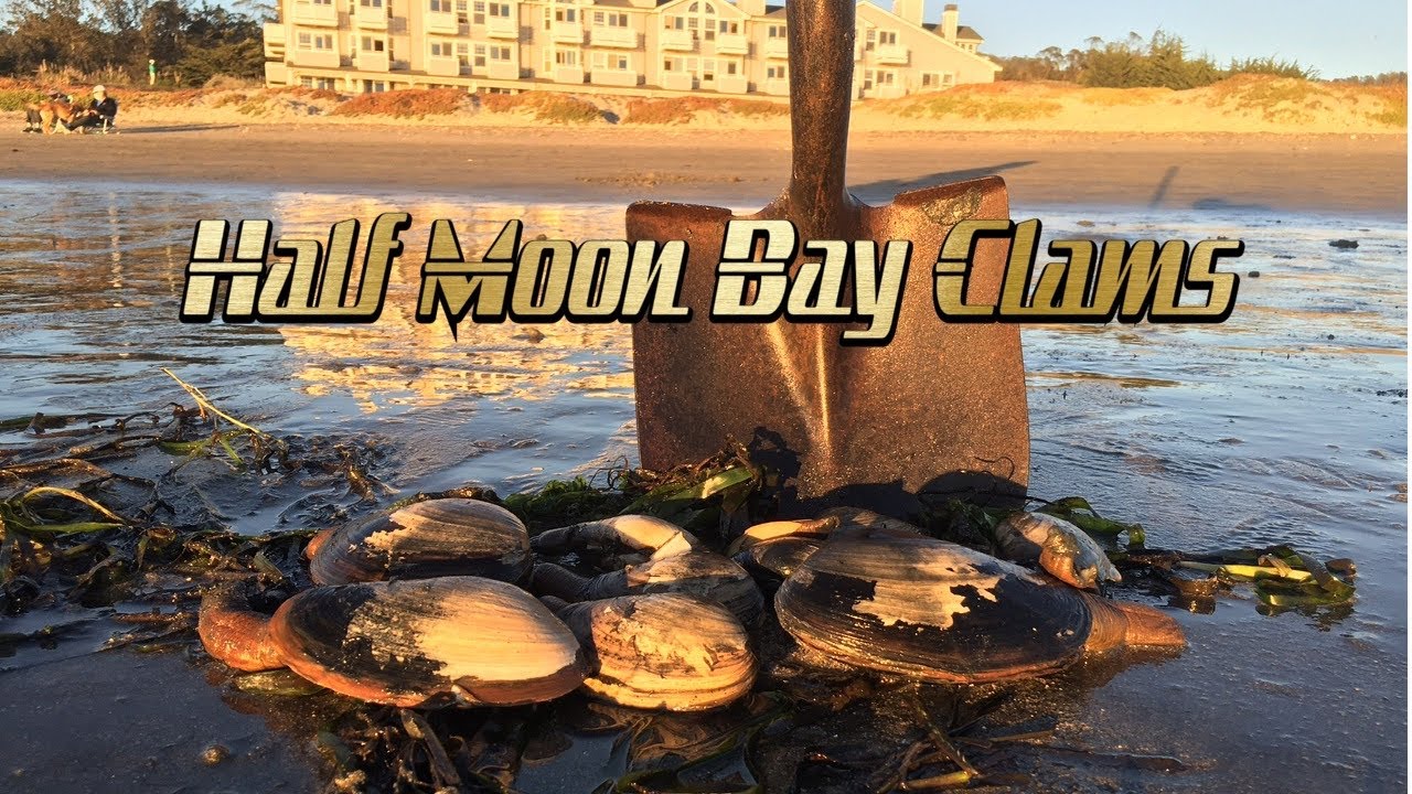 Episode 35: Clamming in Half Moon Bay