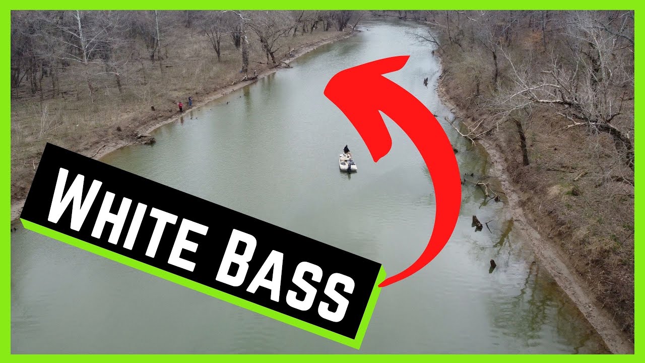 SALT RIVER WHITE BASS 2021 - My First Trip in Late March for White Bass