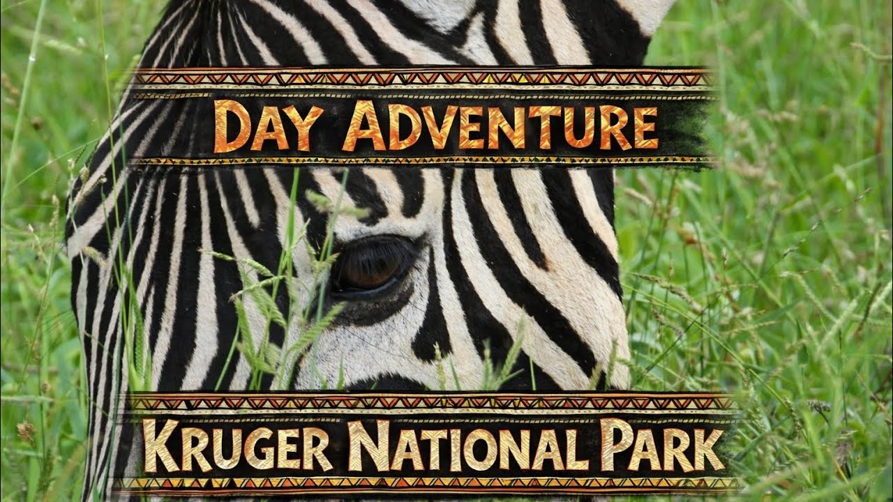 Day adventure in the Kruger national park