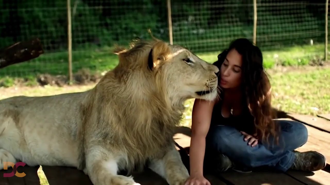 UIMITOR! Cele Mai Neobisnuite prietenii Intre Animale Si Oameni! TOP  5