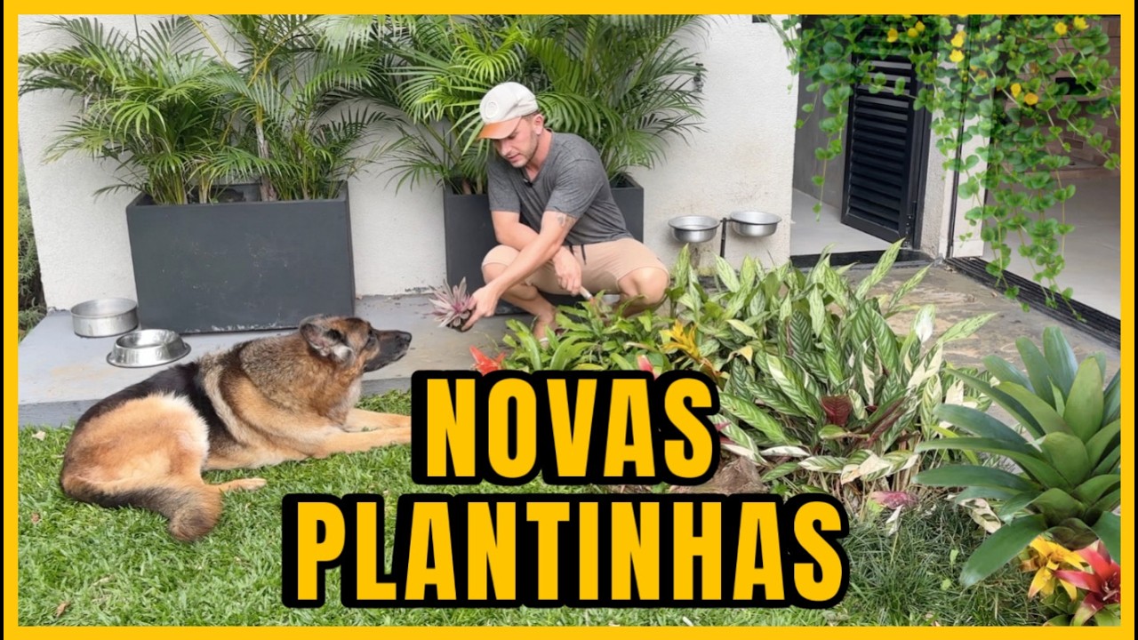 TRANSFORMANDO MEU JARDIM com PLANTAS NOVAS | Henrique Buttler