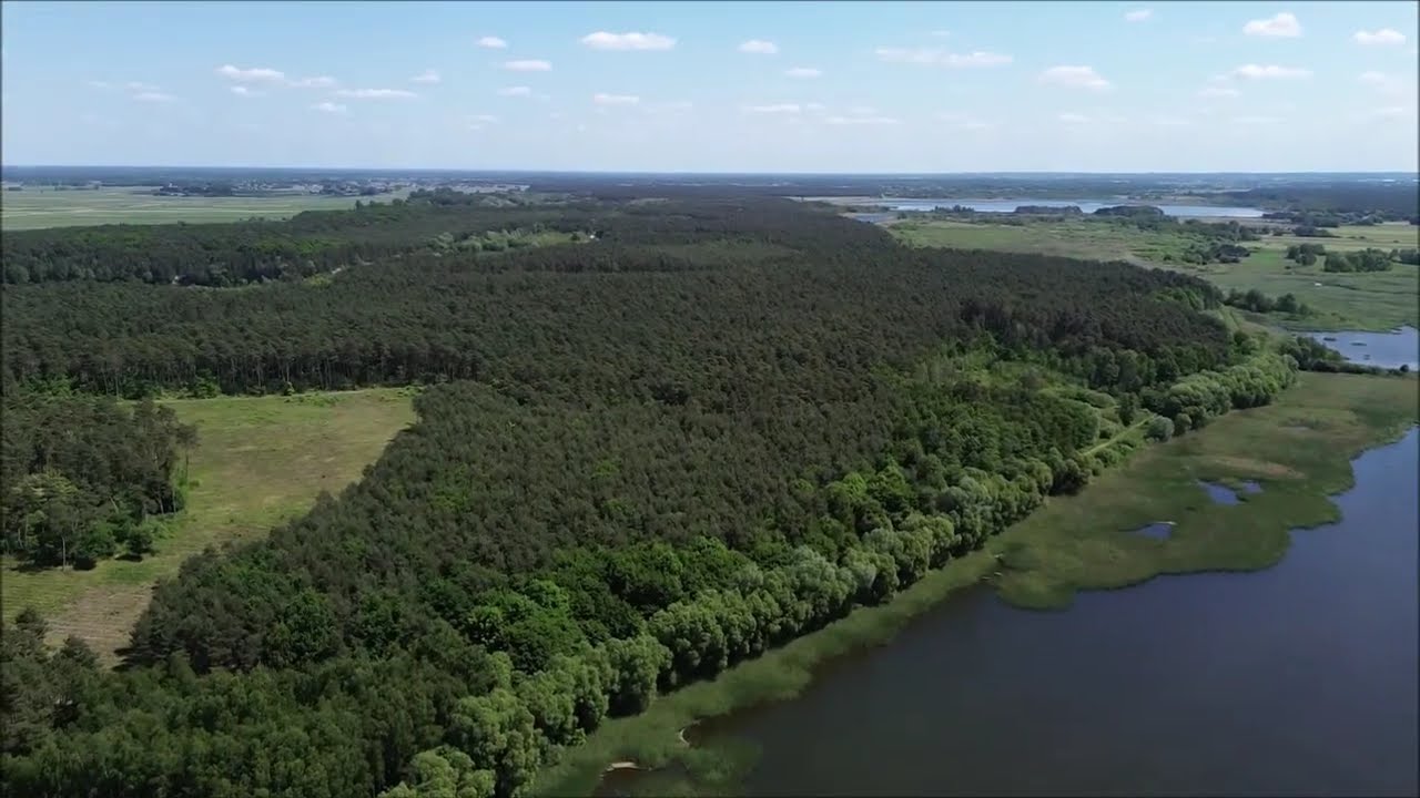 Guźnia i Dąbkowice k. Łowicza z drona. Malownicza okolica. 30.05.2023.