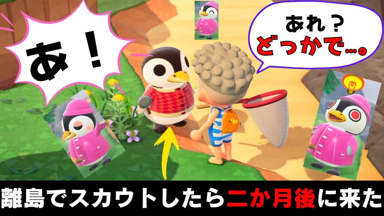 離島でスカウトした住民が二か月後にやってきた…。 ｜ あつ森
