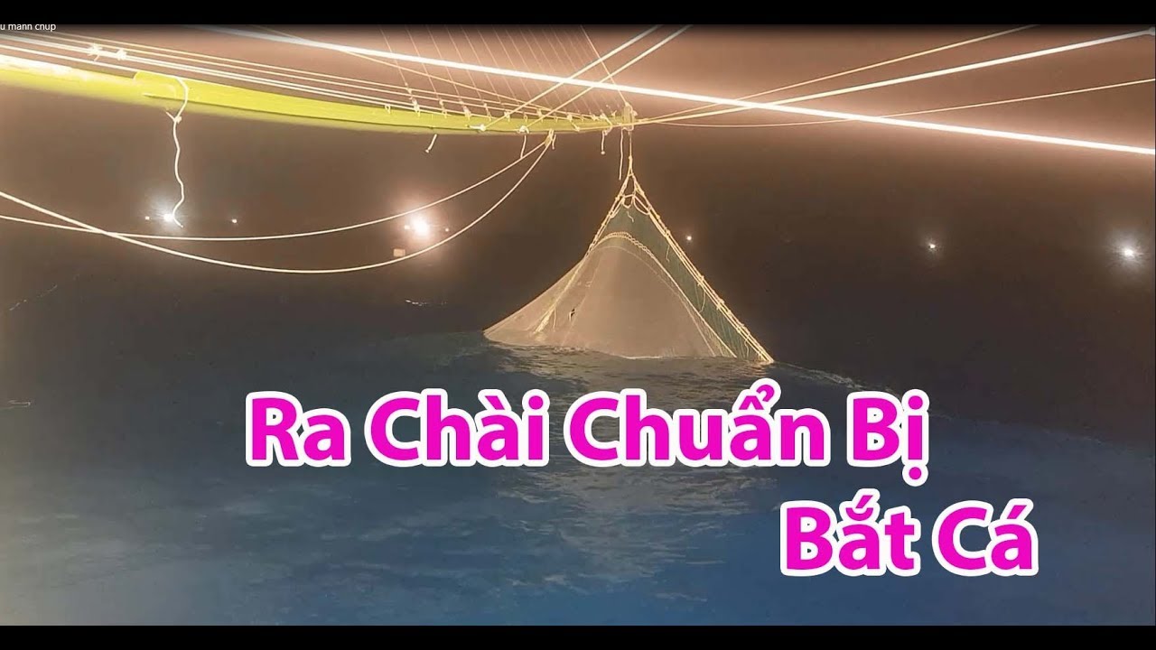 Ra ch&agrave;i Tầu M&Agrave;NH CHỤP chuẩn bị chụp C&Aacute; MỰc