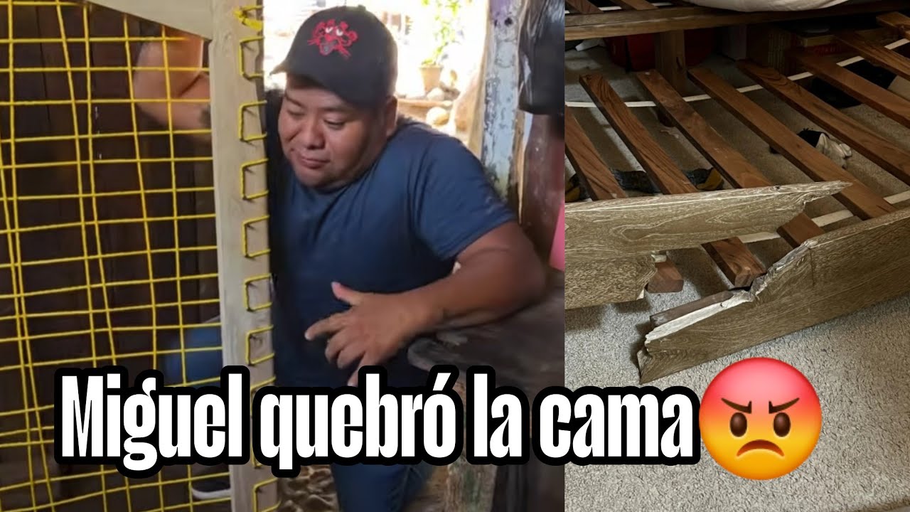 Miguel por envidia le hace esto a la cama de colocho mejor andate a la Mi3rda le gritar0n😡