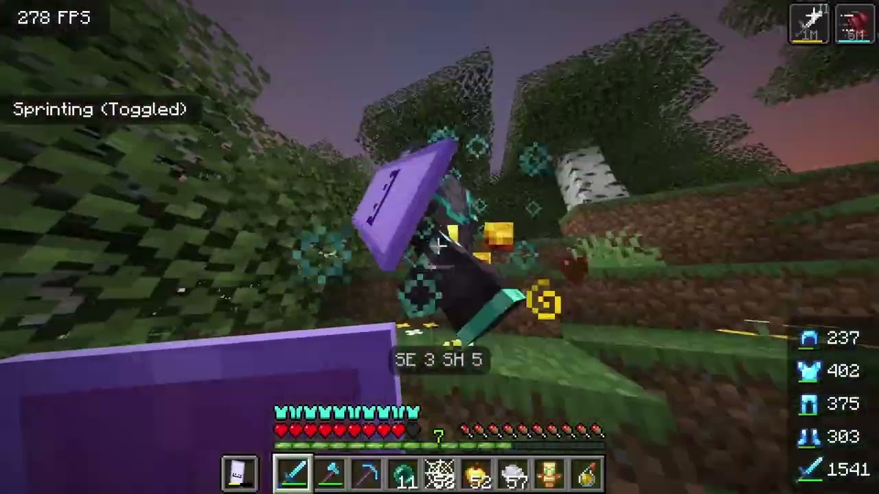 I got jumped on my minecraft server