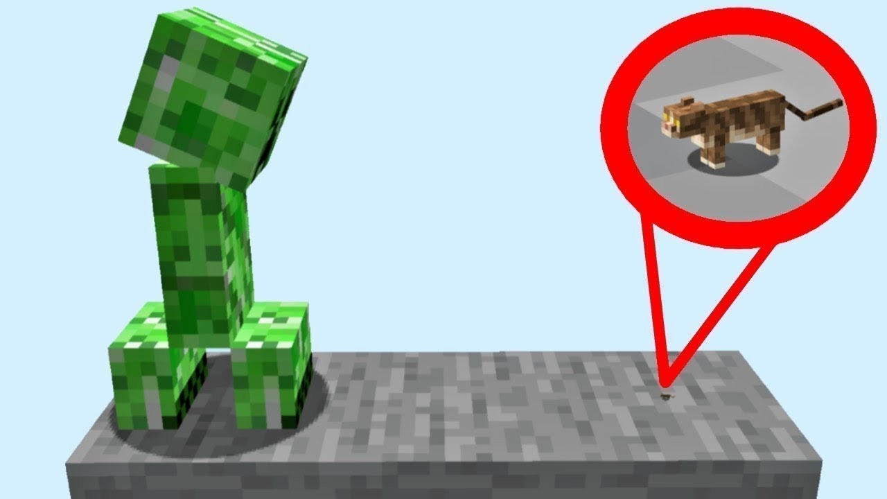 can a 1 pixel cat scare a creeper?