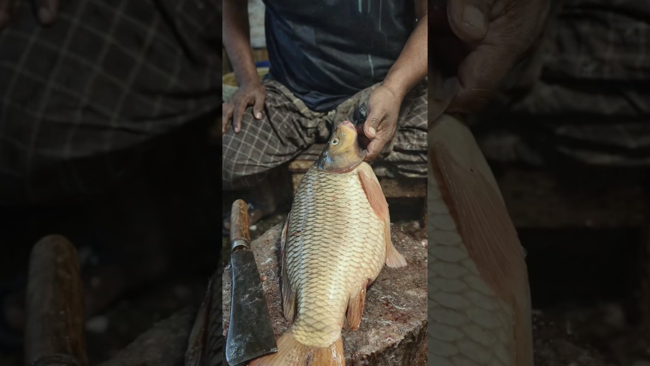 Incredible Cutting Skills Gold Carp Fish || Gold Carp Fish Cutting Skills In The Local Fish Markets.