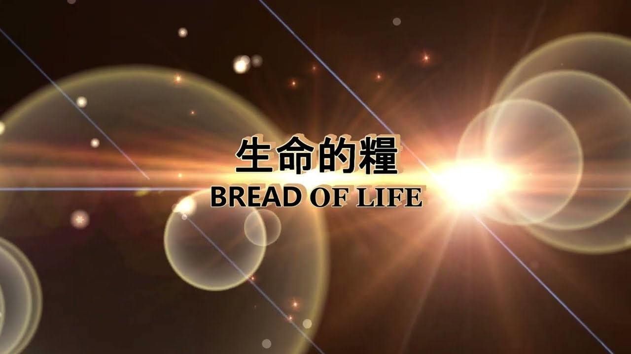 生命的糧｜佳音詩班