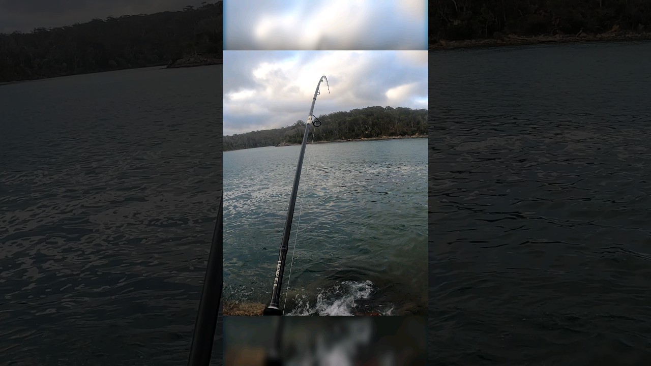 BEST Feeling - FISH on FIRST CAST!! #fishing #fish #fishingvideo #fishinglife #lurefishing