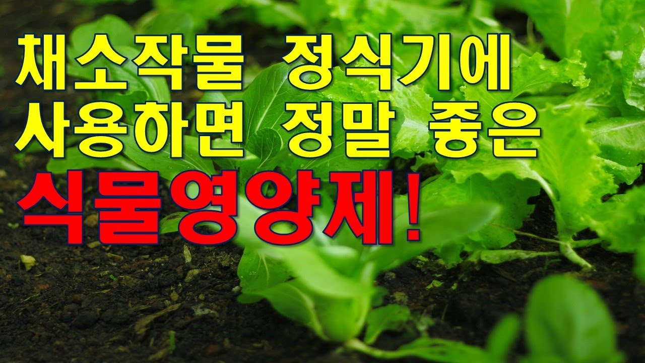 채소작물 정식기에 사용하면 정말 좋은 식물영양제! 이것만 알아도 잘 고를 수 있어요!